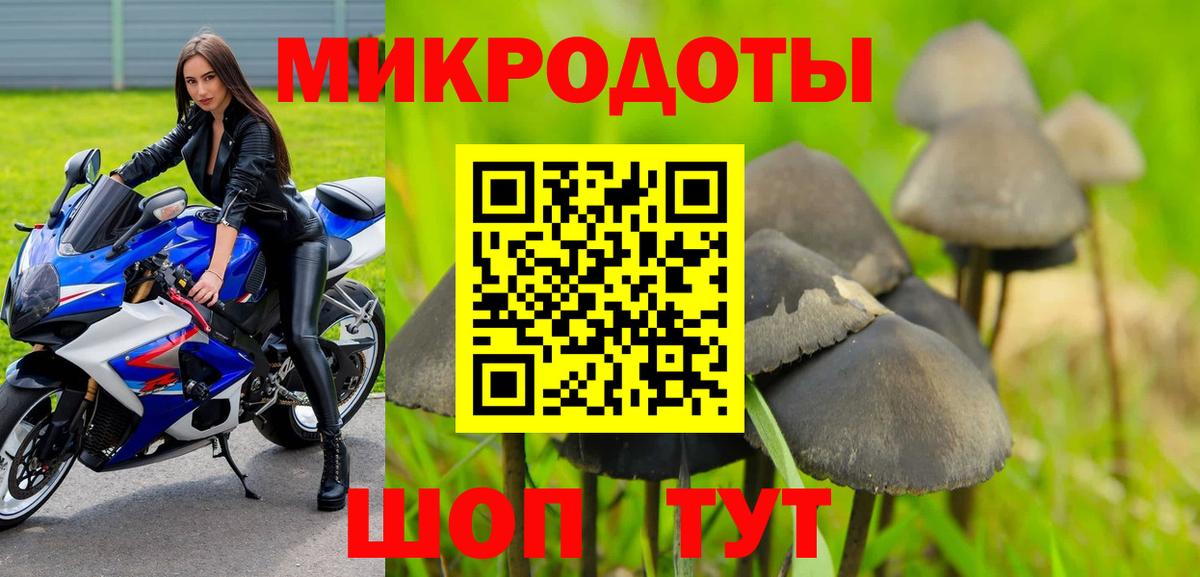 Псилоцибиновые грибы мухоморы Сегежа