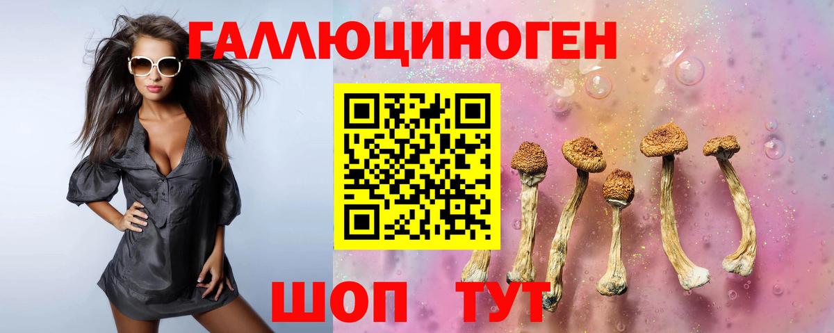 Галлюциногенные грибы Psilocybe  Псилоцибиновые грибы Psilocybe  Сегежа  Вход с VPN 